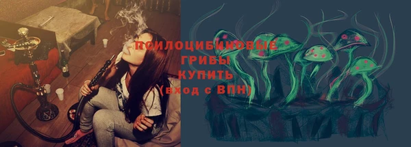 спайс Богданович