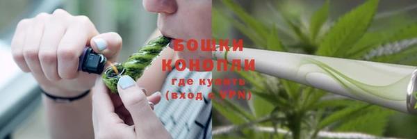 спайс Богданович