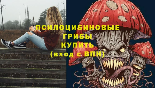 ПСИЛОЦИБИНОВЫЕ ГРИБЫ Богородицк
