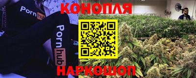 прущие крисы Гусев