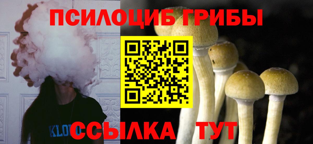 Галлюциногенные грибы Psilocybine cubensis  Вход с VPN  Можга 